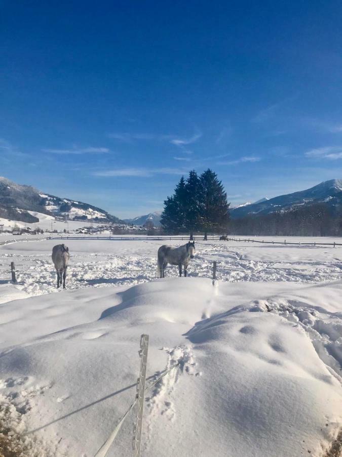 Traumhafte Wohnung Auf Pferde Ranch Aich  Bagian luar foto