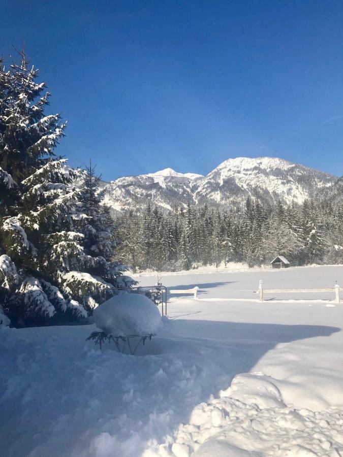 Traumhafte Wohnung Auf Pferde Ranch Aich  Bagian luar foto