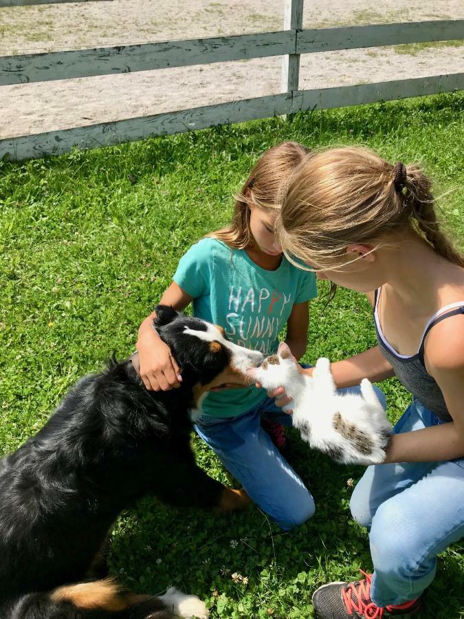 Traumhafte Wohnung Auf Pferde Ranch Aich  Bagian luar foto