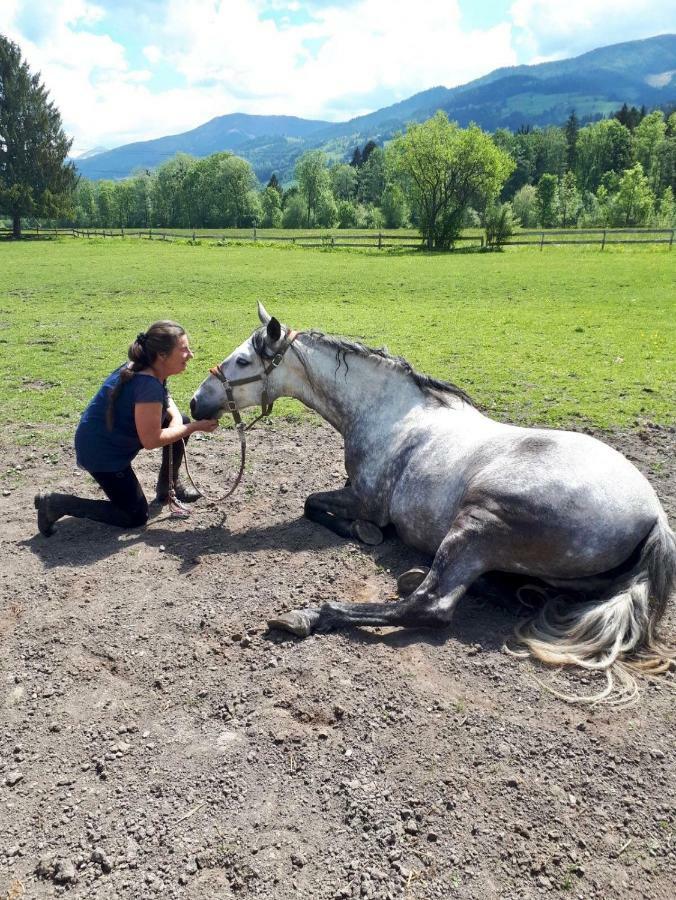 Traumhafte Wohnung Auf Pferde Ranch Aich  Bagian luar foto