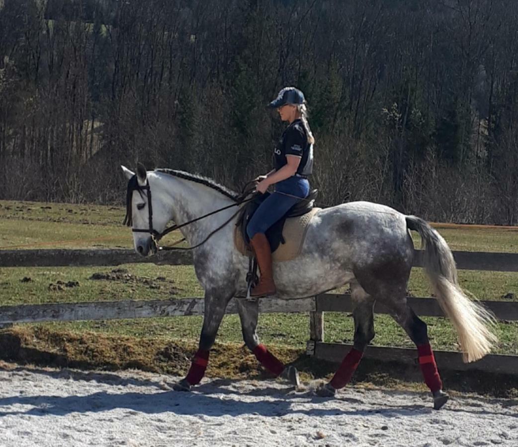 Traumhafte Wohnung Auf Pferde Ranch Aich  Bagian luar foto