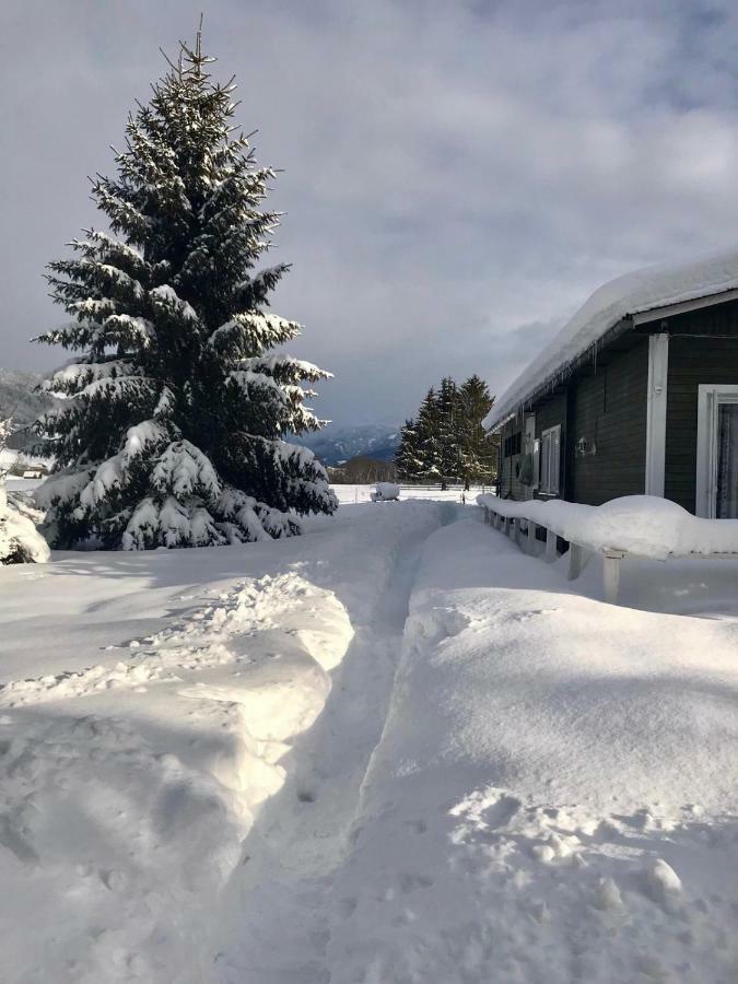 Traumhafte Wohnung Auf Pferde Ranch Aich  Bagian luar foto